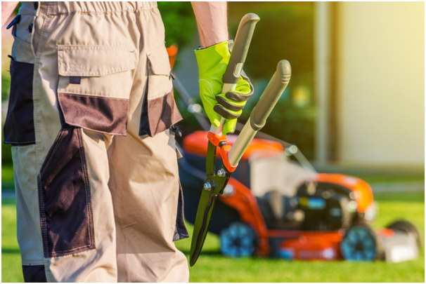 landscaping tools and equipment