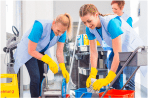 professional cleaning companies