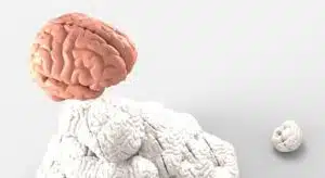 Behavioral Health Services